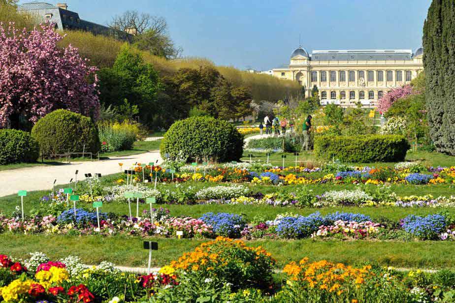 حديقة النباتات باريس
