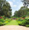 حدائق بينانج النباتية0 (1)