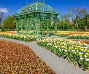 Flower garden in Vienna