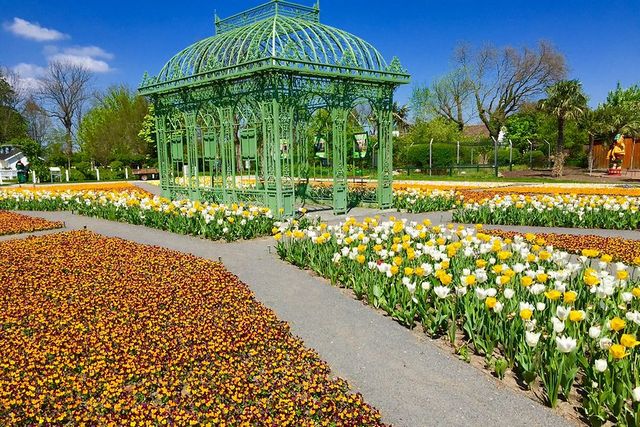 حديقة الزهور في فيينا