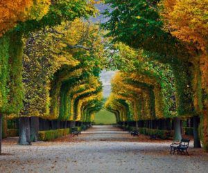 Gardens of Vienna Austria