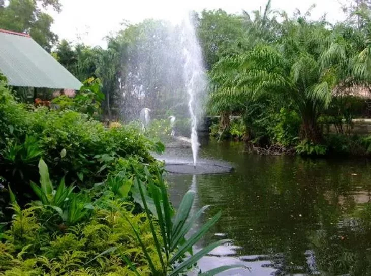 حديقة المجتمع بوكيت