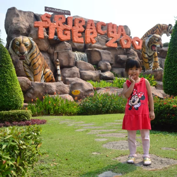 Nimracha Zoo Bed Pattaya