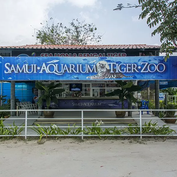 Samui-Aquarium-Tiger-Zoo