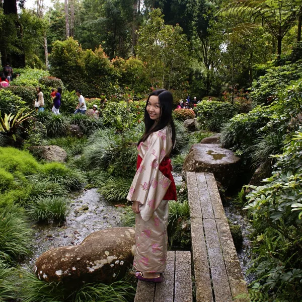 يابانية حديقة