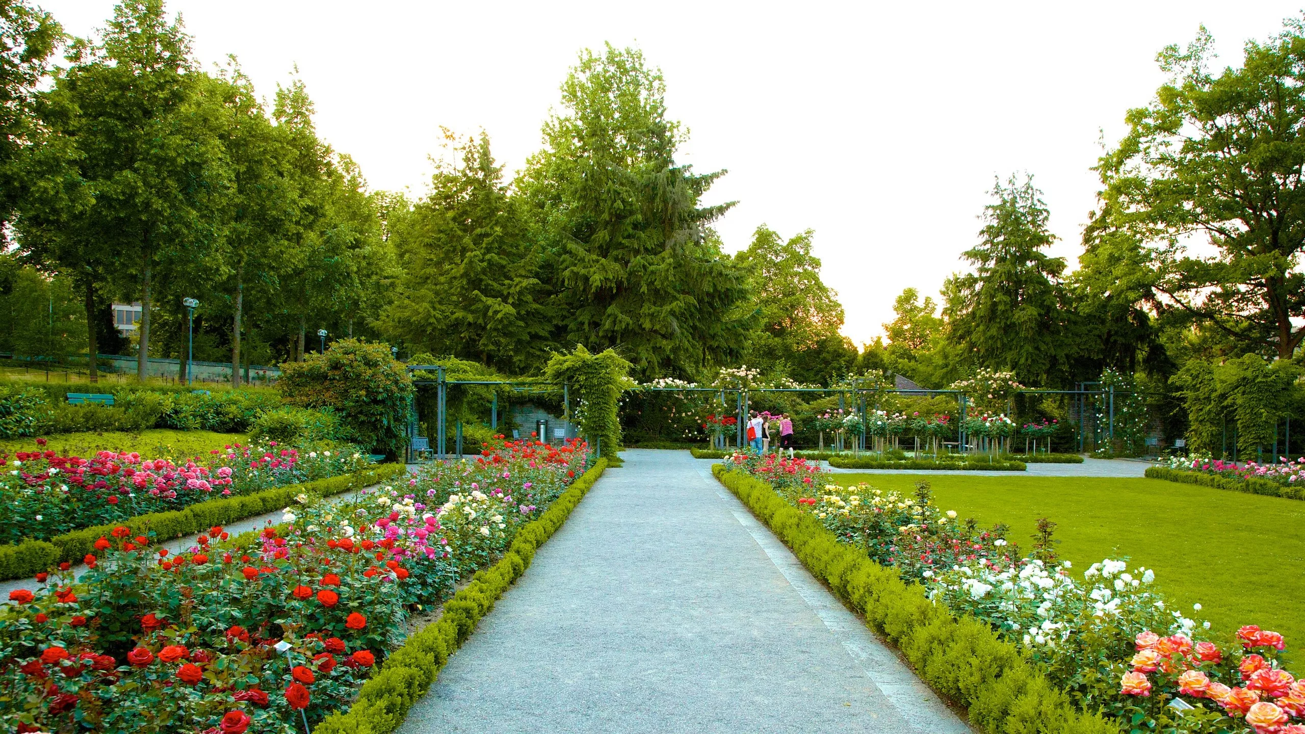 حديقة الزهور في بيرن